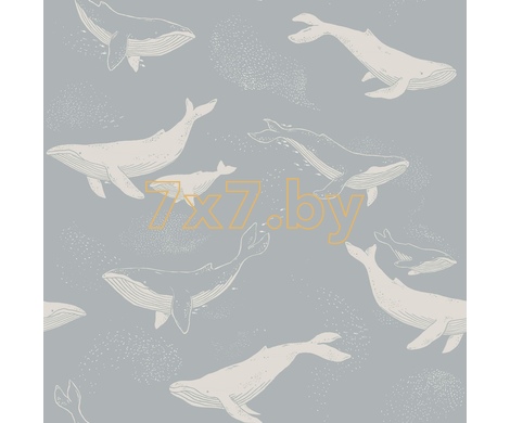 NEWBIE WALLPAPER II 6942 Whales