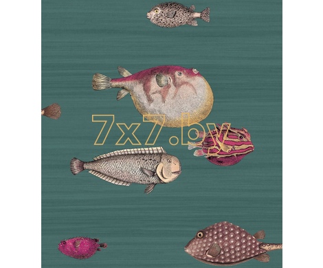 FORNASETTI 114/12024 Acquario