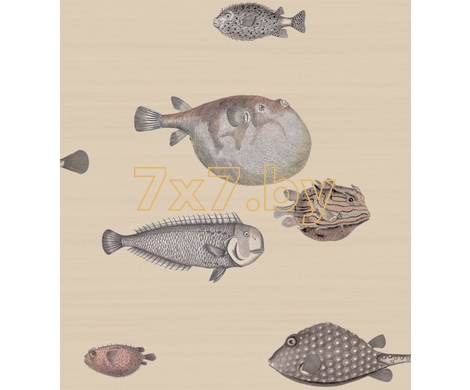 FORNASETTI 114/16033  Acquario