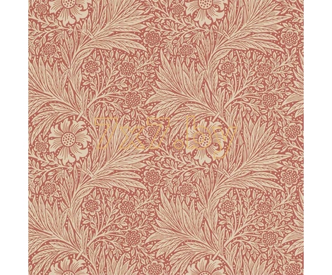 COMPILATION WALLPAPER 216844 Marigold